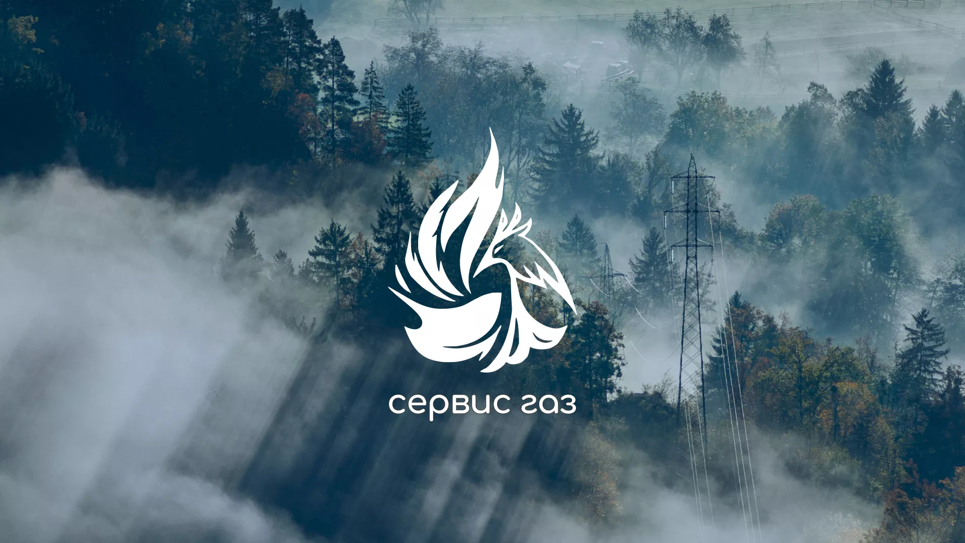 Создание сайта компании «Сервис газ» в Голицыно