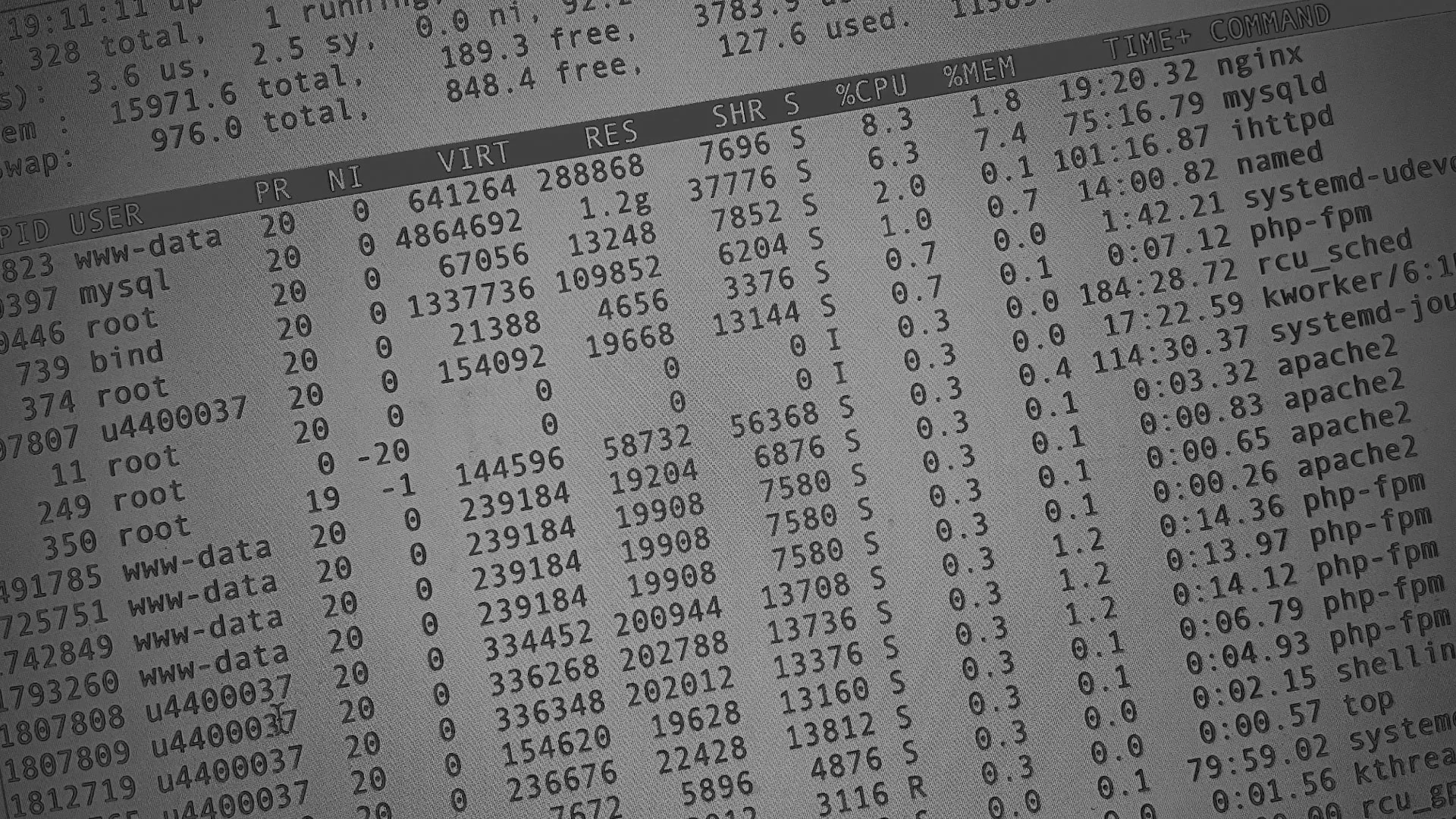 Настройка сервера в Голицыно