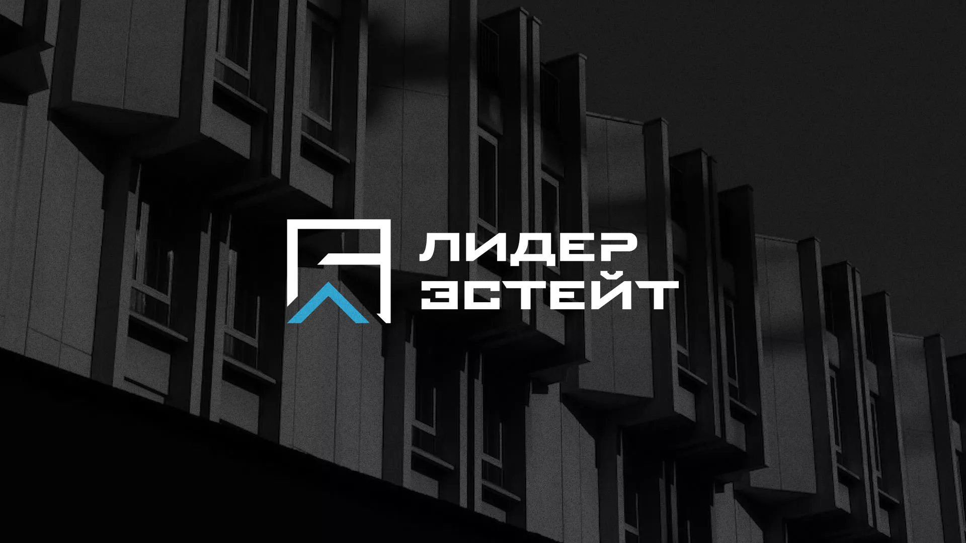 Разработка логотипа агентства недвижимости «Лидер Эстейт» в Голицыно