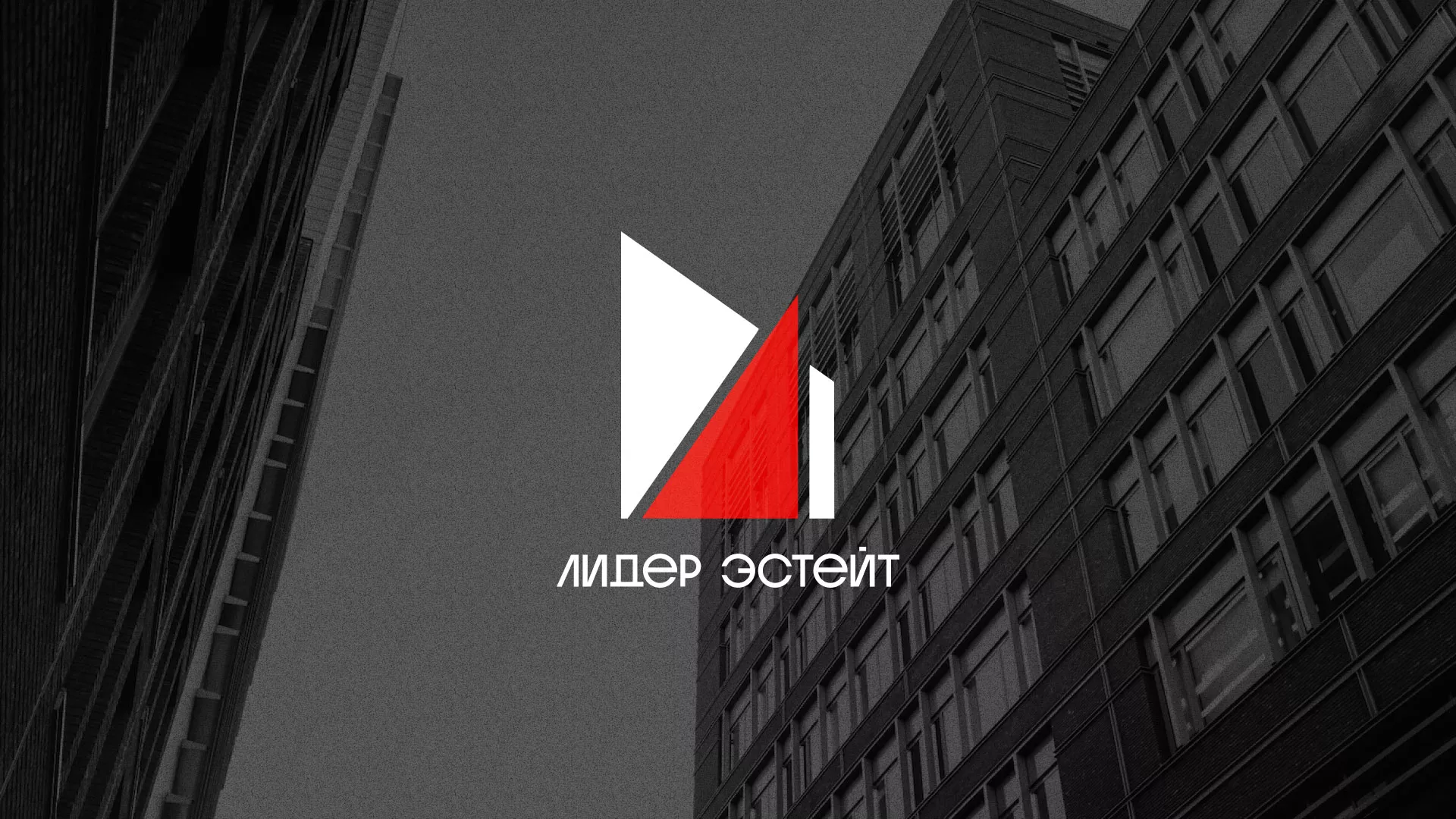 Сделали логотип для агентства недвижимости «Лидер Эстейт» в Голицыно